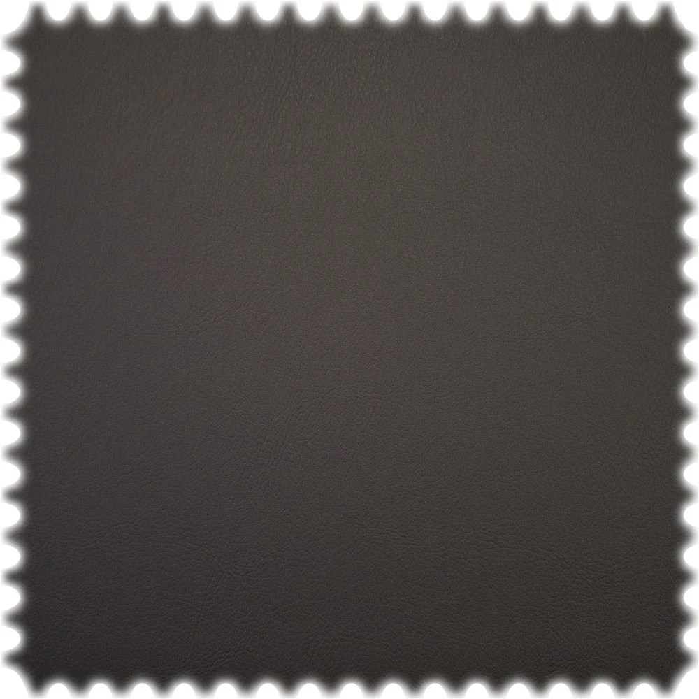 Objekt & Medizin Kunstleder Bio-Tex Anthrazit 1 Objekt & Medizin Kunstleder Bio-Tex Anthrazit