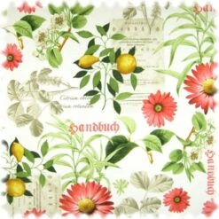 Farbdruck Möbelstoff Botanik Weiss / Rot / Grün