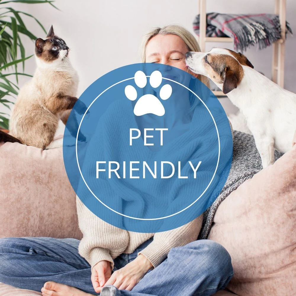 Microfaser Möbelstoff Heiro Green Line Cognac 8 Microfaser Möbelstoff Heiro Green Line Cognac – Bild 8